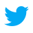 Twitter logo icon