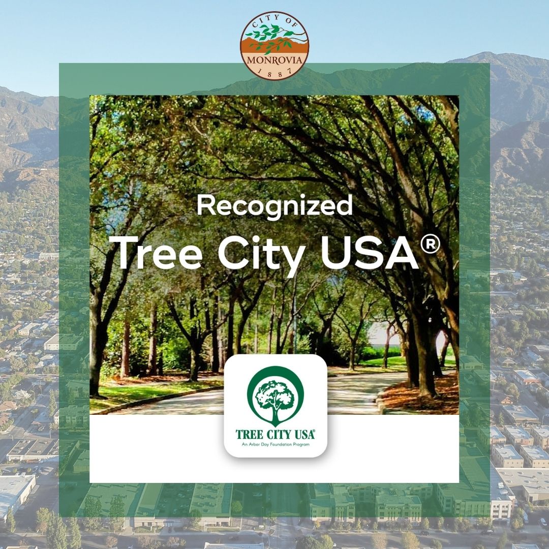 Tree City USA