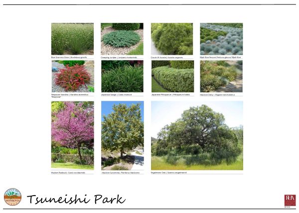 Tsuneishi Park - Plant Image Board 08.02.24