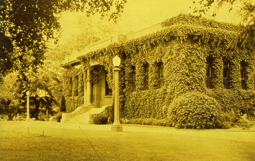 Carnegie Library with Ivy