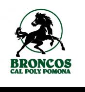 broncos_logo